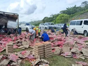 Kebaikan di Balik Musibah Truk Bawa 78 Ribu Telur Terguling Kebaikan di Balik Musibah Truk Bawa 78 Ribu Telur Terguling