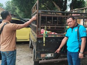 Bobi dan Mat Hendrik Ditangkap Usai Curi 2 Ekor Sapi di PALI