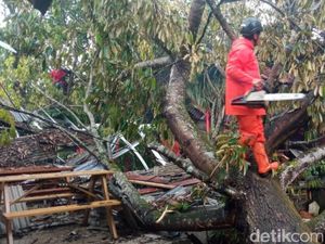 Kedai Kopi dan 6 Bangunan Tertimpa Pohon Tumbang di Ciamis
