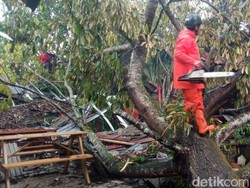 Kedai Kopi dan 6 Bangunan Tertimpa Pohon Tumbang di Ciamis