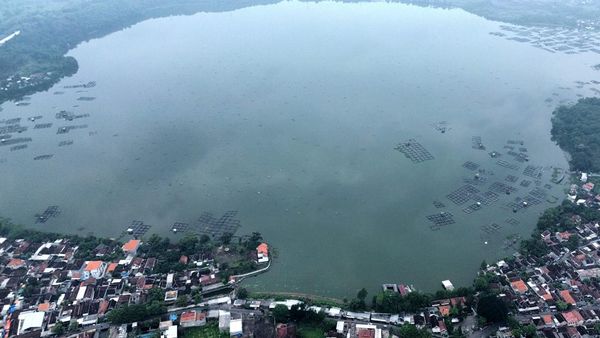 Danau Ranu Grati Pasuruan Dimanfaatkan untuk Budi Daya Ikan
