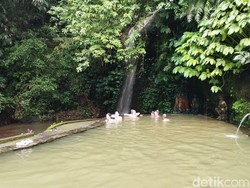 Rencana Induk demi Pariwisata Desa Angseri yang Berkelanjutan