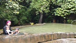Kehangatan di Sejuknya Hutan, Daya Tarik Unik Air Panas Angseri Tabanan