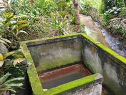 Mengobati Penyakit Gatal dan Rematik di Air Panas Angseri