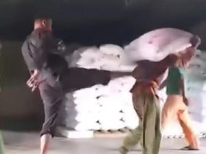 Momen Mandor Layangkan Tendangan Kungfu ke Kuli Panggul di Jambi Momen Mandor Layangkan Tendangan Kungfu ke Kuli Panggul di Jambi