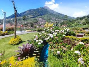 Balai Taman Nasional Gunung Merapi Bikin Skincare dari Abu Vulkanik