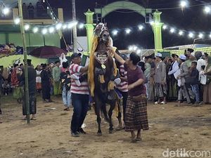 Tradisi Kuda Menari yang Unik Menyambut Bulan Puasa di Sumenep Tradisi Kuda Menari yang Unik Menyambut Bulan Puasa di Sumenep
