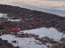 Warga Ngaku Kewalahan Bersihkan Sampah Kayu di Sepanjang Pantai Makassar