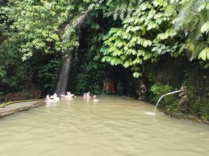 Sensasi Berendam Air Hangat Dikelilingi Pepohonan di Air Panas Angseri