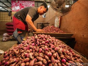 Harga Cabai Rawit-Bawang Merah di Sumut Turun, Ini Kata Disperindag Harga Cabai Rawit-Bawang Merah di Sumut Turun, Ini Kata Disperindag