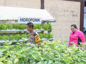 Perkuat Ketahanan Pangan, Bhayangkari Bojonegoro Buat Pekarangan Lestari Perkuat Ketahanan Pangan, Bhayangkari Bojonegoro Buat Pekarangan Lestari