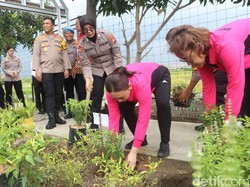 Polres dan Bhayangkari Sidoarjo Luncurkan Pekarangan Pangan Lestari