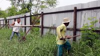 Pagar Misterius di Pesisir Deli Serdang Dibongkar