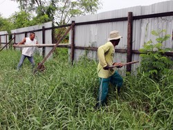 Polemik Pagar di Pesisir Deli Serdang, Dibongkar Kadis LHK Berujung Dipolisikan