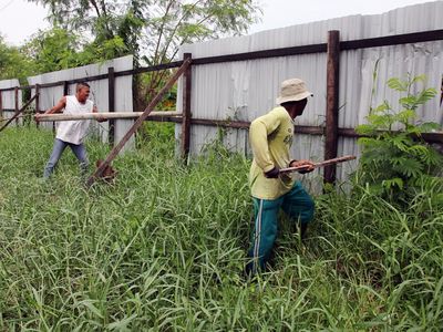 Pagar Misterius di Pesisir Deli Serdang Dibongkar