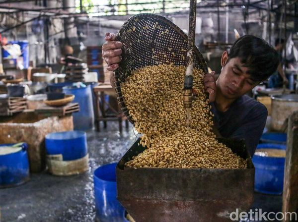 Pasokan Kedelai Jelang Bulan Ramadan Dipastikan Aman