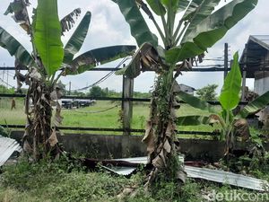 DPRD Bakal Gelar RDP soal Pagar Misterius di Pesisir Deli Serdang DPRD Bakal Gelar RDP soal Pagar Misterius di Pesisir Deli Serdang