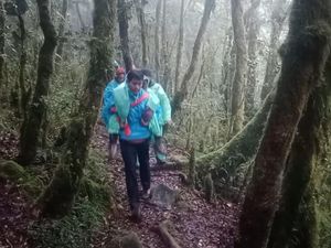Kronologi Pendaki Wanita Tersesat di Gunung Bawakaraeng-Ditemukan Selamat Kronologi Pendaki Wanita Tersesat di Gunung Bawakaraeng-Ditemukan Selamat
