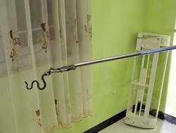 Cerita Damkar Evakuasi Ular Cicak yang Ngumpet di AC Rumah Warga Wonosari