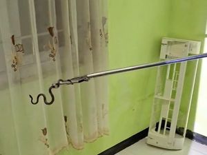 Cerita Damkar Evakuasi Ular Cicak yang Ngumpet di AC Rumah Warga Wonosari Cerita Damkar Evakuasi Ular Cicak yang Ngumpet di AC Rumah Warga Wonosari