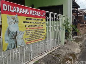 Jengkel Warga Tasik gegara Kampungnya Jadi Tempat Pembuangan Kucing Jengkel Warga Tasik gegara Kampungnya Jadi Tempat Pembuangan Kucing