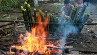 Tradisi Memasak Lemang Sambut Ramadan di Aceh Barat