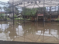 Banjir Rendam Art Centre Denpasar, Stand Pameran Terdampak