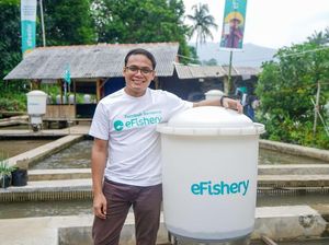 Fakta Baru Manipulasi Lapkeu eFishery, Ternyata Lebih Buruk Fakta Baru Manipulasi Lapkeu eFishery, Ternyata Lebih Buruk