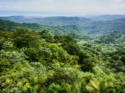 Terpisah dari Rombongan, Abdur Rahman Hilang di Hutan Puerto Rico
