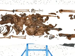 Ritual Mengerikan Wanita Muda Dipenggal Kepalanya