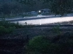 Tambak Udang Kembali Beroperasi di Karimunjawa, Camat Minta Disetop