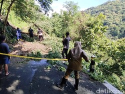 Tebing Setinggi 50 Meter Longsor, Jalan Antarkalurahan di Bukit Menoreh Putus