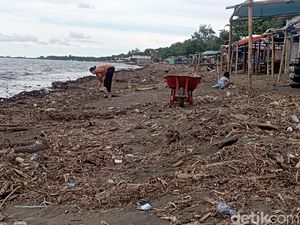 Sampah Kayu dari Banjir Sungai Jeneberang Masih Penuhi Bibir Pantai Makassar Sampah Kayu dari Banjir Sungai Jeneberang Masih Penuhi Bibir Pantai Makassar