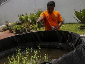 Melihat Warga Binaan Budi Daya Sayur dan Ikan di Rutan Serang Melihat Warga Binaan Budi Daya Sayur dan Ikan di Rutan Serang