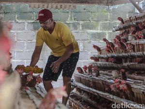 Harga Telur di Ponorogo Merangkak Naik Jelang Ramadan Harga Telur di Ponorogo Merangkak Naik Jelang Ramadan