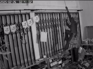 Bak Spider-Man! Maling Bobol Toko Material Bogor Sambil Gelantungan di Tali