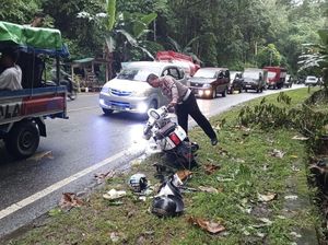 Pemotor di Bone Tewas Tabrak Pikap Berhenti di Jalan gegara Pohon Tumbang Pemotor di Bone Tewas Tabrak Pikap Berhenti di Jalan gegara Pohon Tumbang