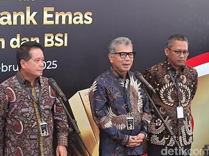 Bos BRI Buka Suara soal Alasan Pembentukan Bank Emas Bos BRI Buka Suara soal Alasan Pembentukan Bank Emas