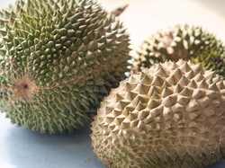 Ini Durian Black Thorn, Varietas Lebih Mahal dari Musang King!