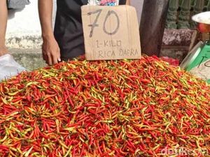 Harga Cabai Rawit di Gorontalo Kian Pedas Jelang Ramadan, Tembus Rp 70.000/Kg Harga Cabai Rawit di Gorontalo Kian Pedas Jelang Ramadan, Tembus Rp 70.000/Kg