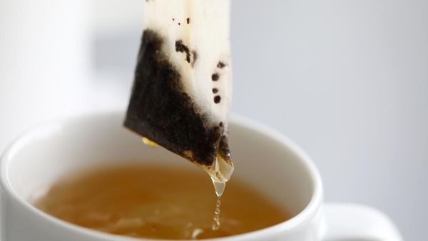 Coba Cek Dapur! 10 Makanan Ini Paling Banyak Mengandung Mikroplastik