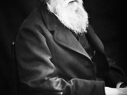 Penjelasan Pokok Teori Darwin tentang Evolusi