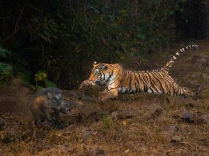 Karya Memukau Jawara Kontes Foto inFocus 2024