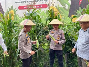 Polres Batu Panen 45 Ton Jagung Dukung Ketahanan Pangan Polres Batu Panen 45 Ton Jagung Dukung Ketahanan Pangan