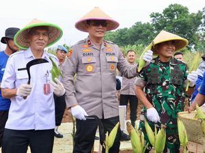 Polda Metro Panen Raya 1,25 Ton Jagung Sukseskan Ketahanan Pangan