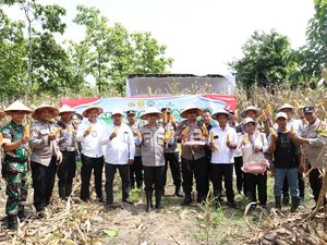 Polisi-Petani Panen 5 Ton Jagung di Mojokerto Polisi-Petani Panen 5 Ton Jagung di Mojokerto