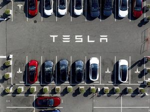 Perusak Mobil Tesla Terpergok Bikin Logo Nazi, Benci Elon Musk Perusak Mobil Tesla Terpergok Bikin Logo Nazi, Benci Elon Musk