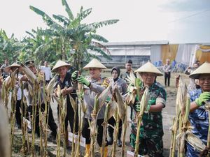 8 Ton Jagung Dipanen Polisi Bersama Petani di Jombang
