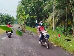 Warga Banyuwangi Tanami Pohon Pisang Jalan yang 5 Tahun Rusak Tak Diperbaiki Warga Banyuwangi Tanami Pohon Pisang Jalan yang 5 Tahun Rusak Tak Diperbaiki