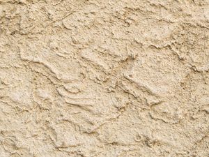 Tips Penggunaan Dinding Kamprot di Rumah Biar Makin Estetis Tips Penggunaan Dinding Kamprot di Rumah Biar Makin Estetis